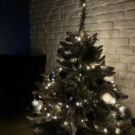 Witold's With A Rooftop - 500 Steps To Rynek Wroapart Breslavia